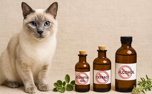 Why Herbal Mewphoria Never Uses Essential Oils